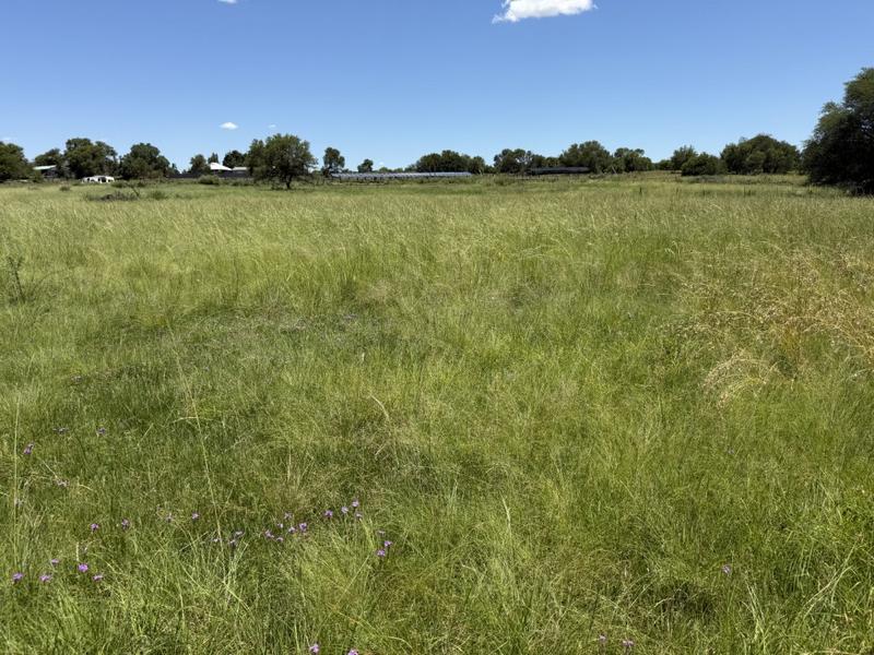 0 Bedroom Property for Sale in Bothaville Free State